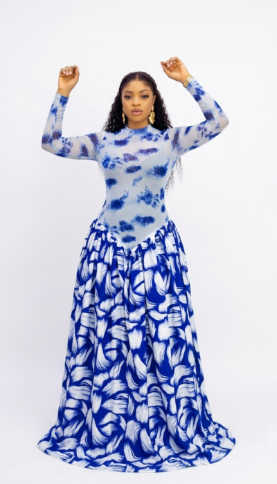 Elegant Patterned Mesh Dress – Women’s Sheer Long-Sleeve Statement Dress